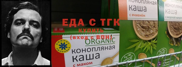 ПСИЛОЦИБИНОВЫЕ ГРИБЫ Волоколамск