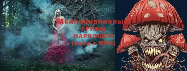 ПСИЛОЦИБИНОВЫЕ ГРИБЫ Волоколамск
