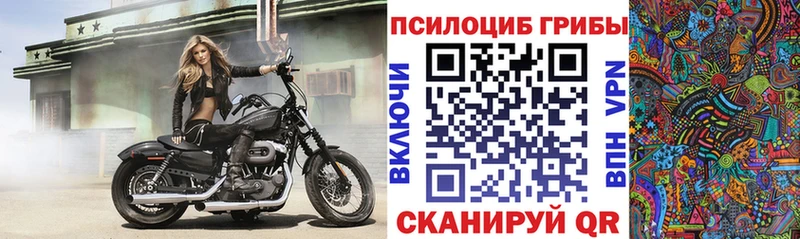 Галлюциногенные грибы Cubensis Певек